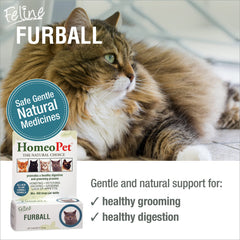 HomeoPet cat grooming relief image shows easy dosing for furball relief.