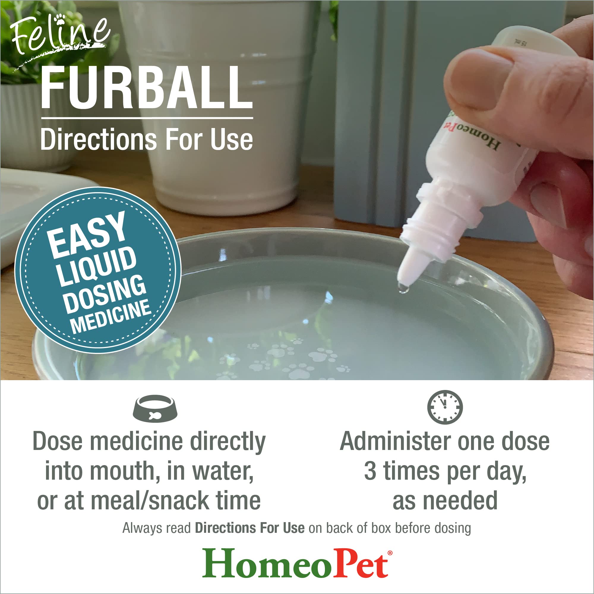 HomeoPet easy-dose syringe scene illustrating three-times-daily administration.