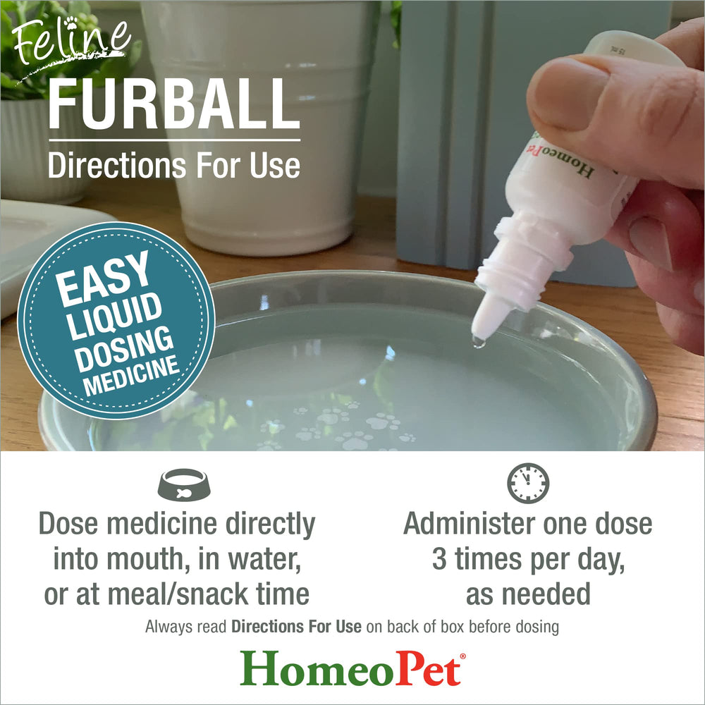 HomeoPet easy-dose syringe scene illustrating three-times-daily administration.