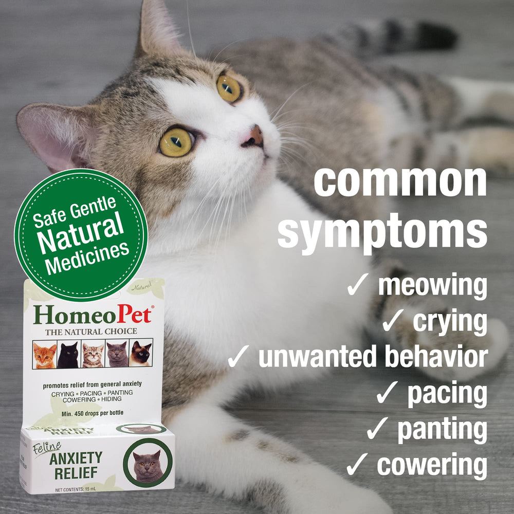 HomeoPet Feline Anxiety Relief dosing options support flexible administration.