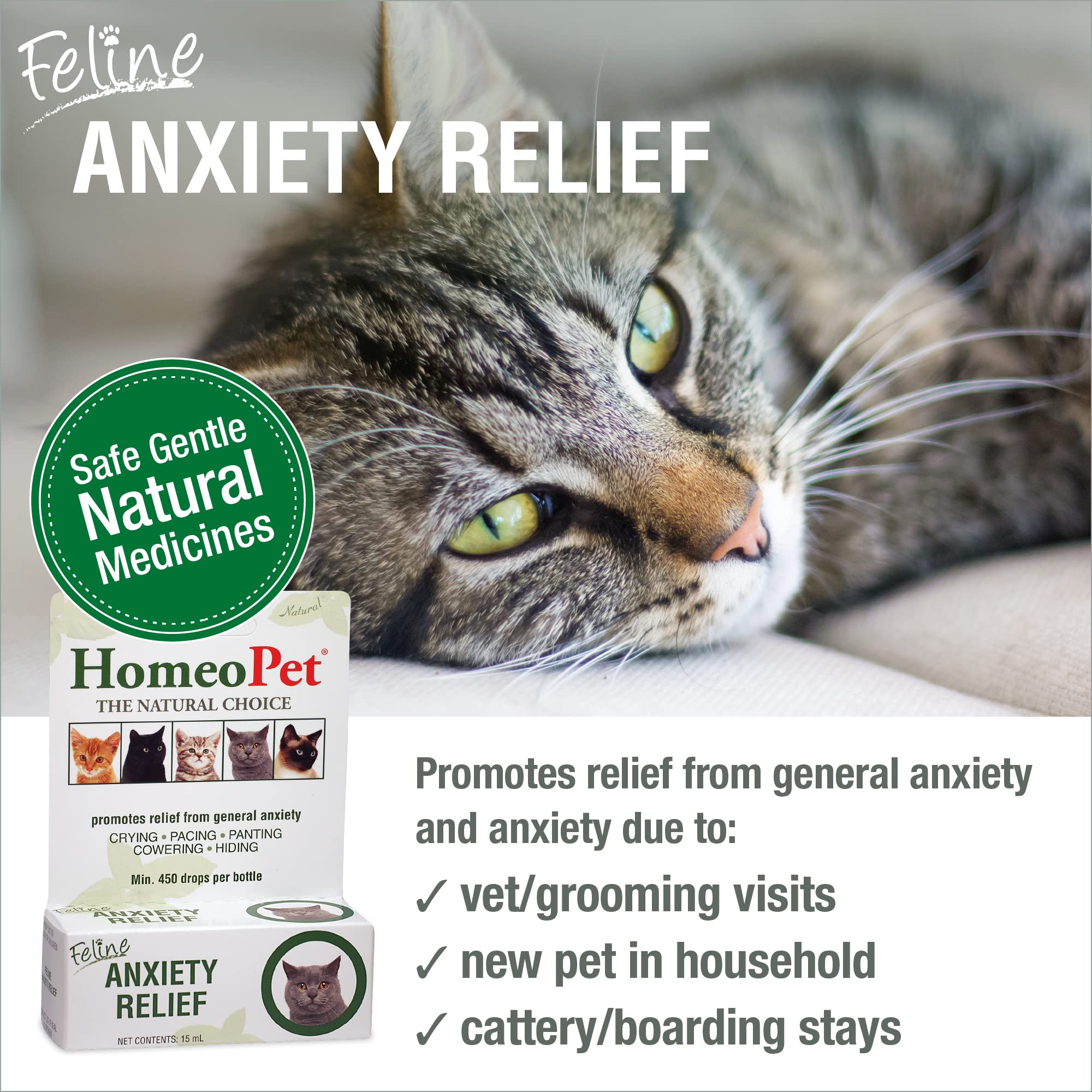 HomeoPet Feline Anxiety Relief dropper enables easy dosing for stressed cats.