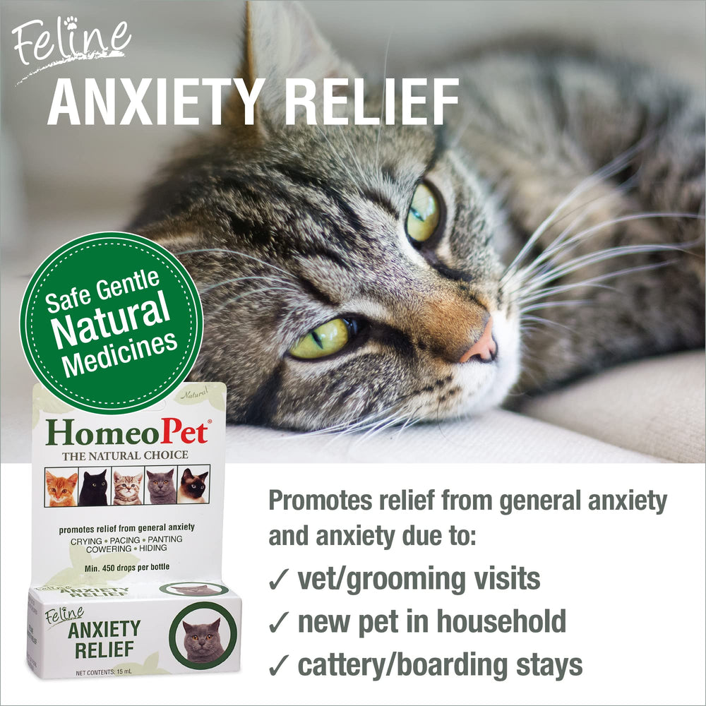 HomeoPet Feline Anxiety Relief dropper enables easy dosing for stressed cats.