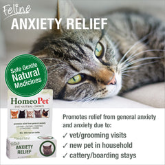 HomeoPet Feline Anxiety Relief dropper enables easy dosing for stressed cats.