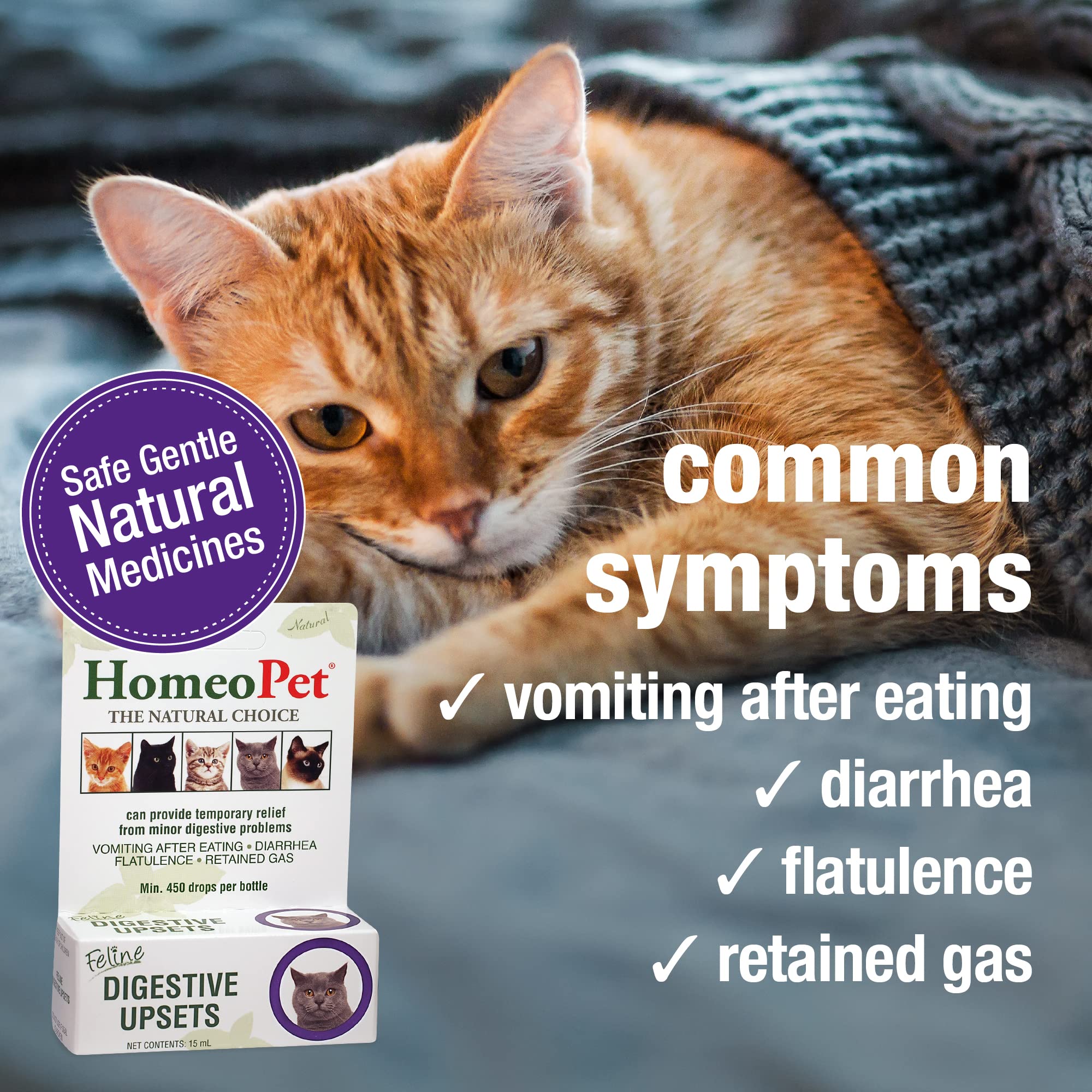 HomeoPet Feline Digestive Upsets dosing directly supports flexible administration.