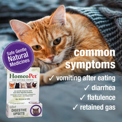 HomeoPet Feline Digestive Upsets dosing directly supports flexible administration.