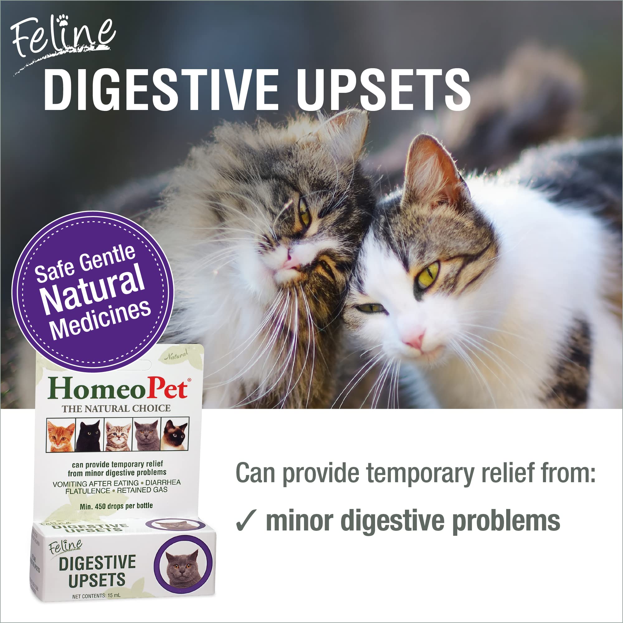 HomeoPet Feline Digestive Upsets dropper enables easy dosing for cats' comfort.