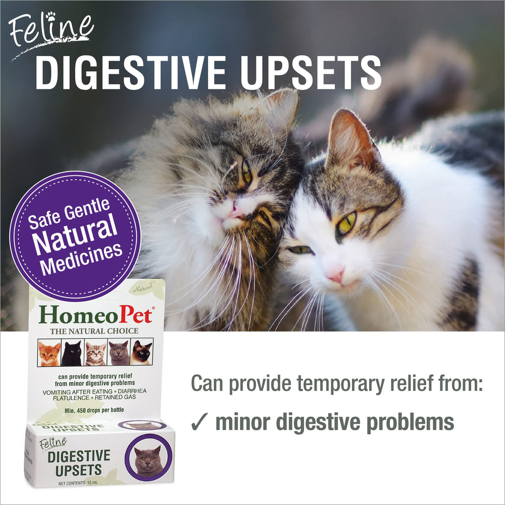 HomeoPet Feline Digestive Upsets dropper enables easy dosing for cats' comfort.