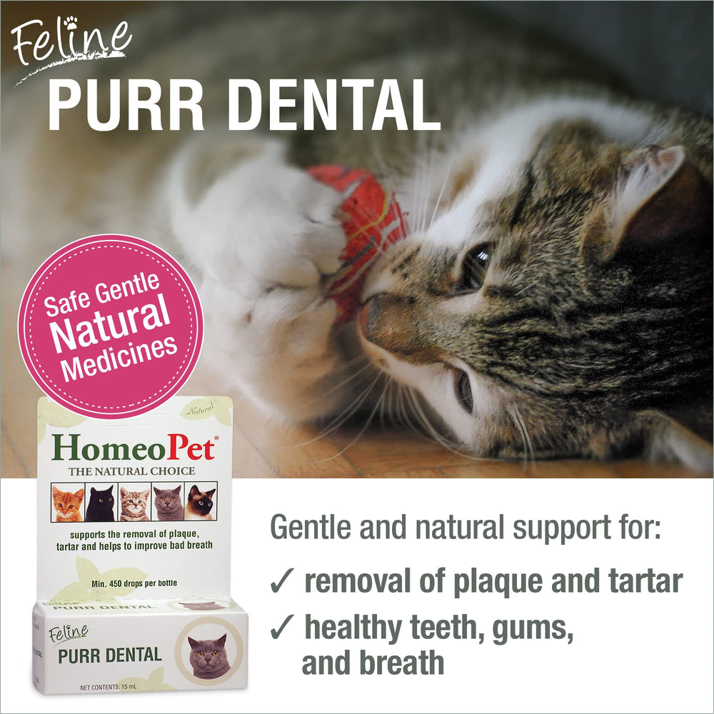 HomeoPet Feline Purr Dental dosing into cat's mouth for easy administration