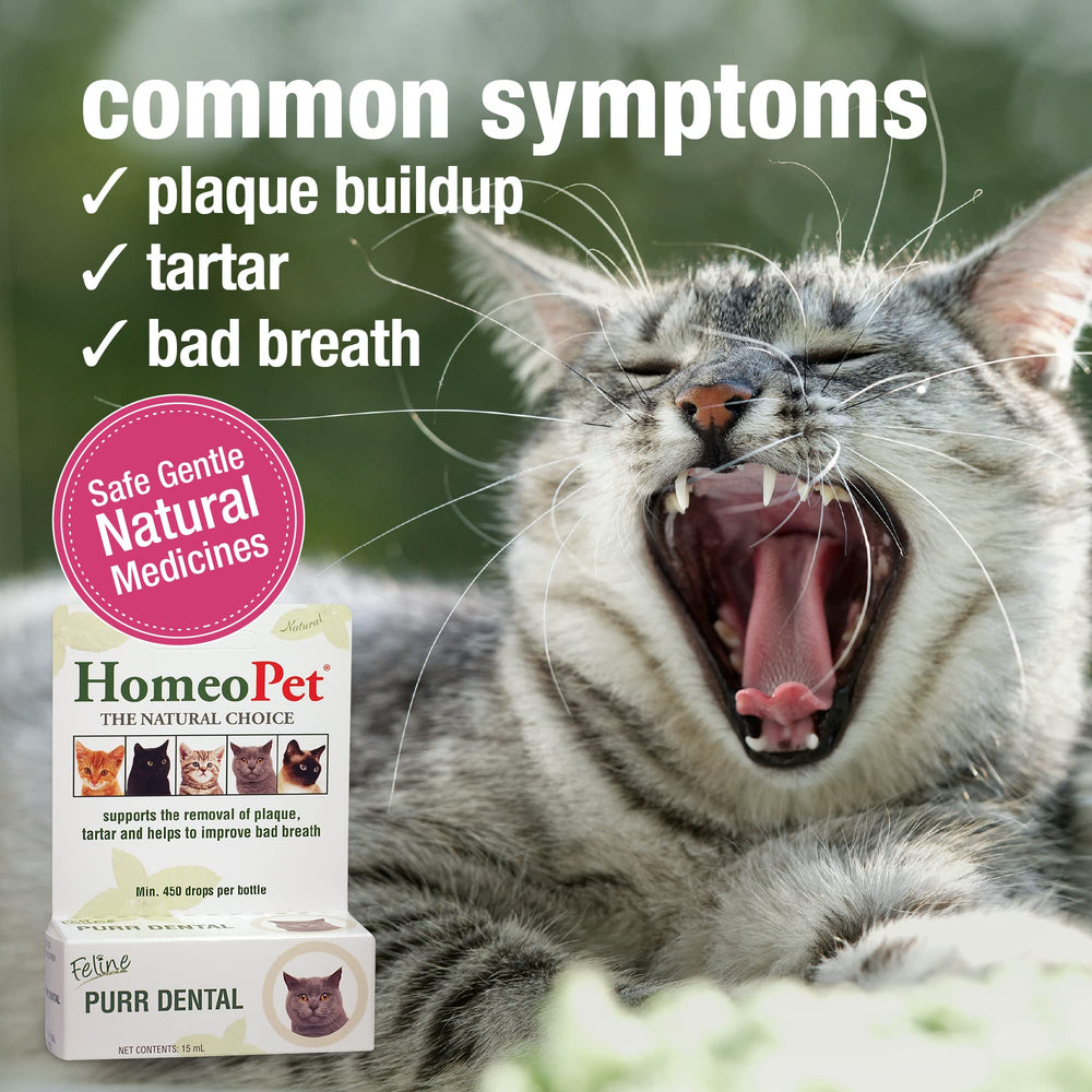 HomeoPet Feline Purr Dental mixed in water for routine oral-health support