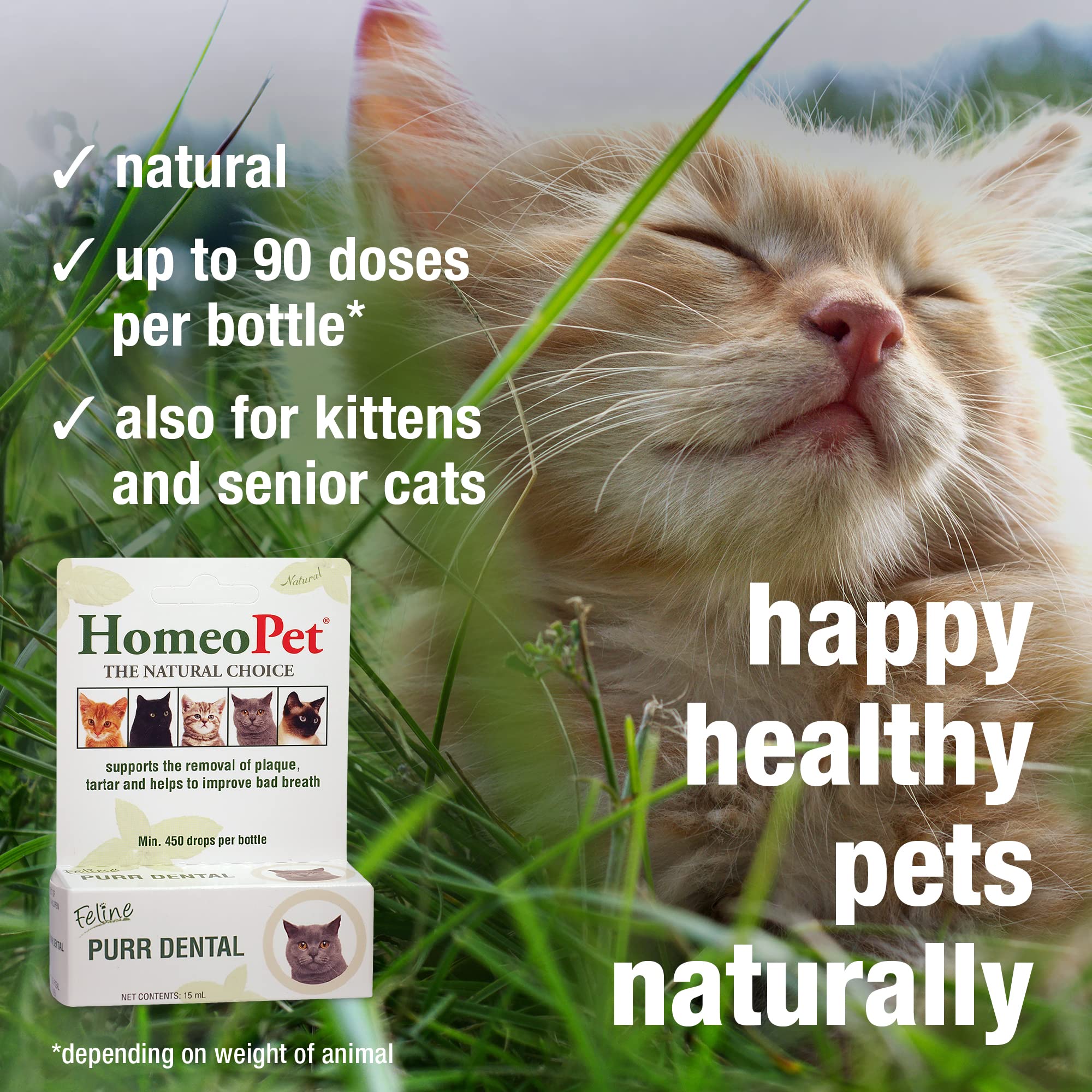 HomeoPet Feline Purr Dental being used at mealtime for convenience