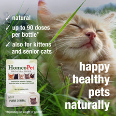 HomeoPet Feline Purr Dental being used at mealtime for convenience