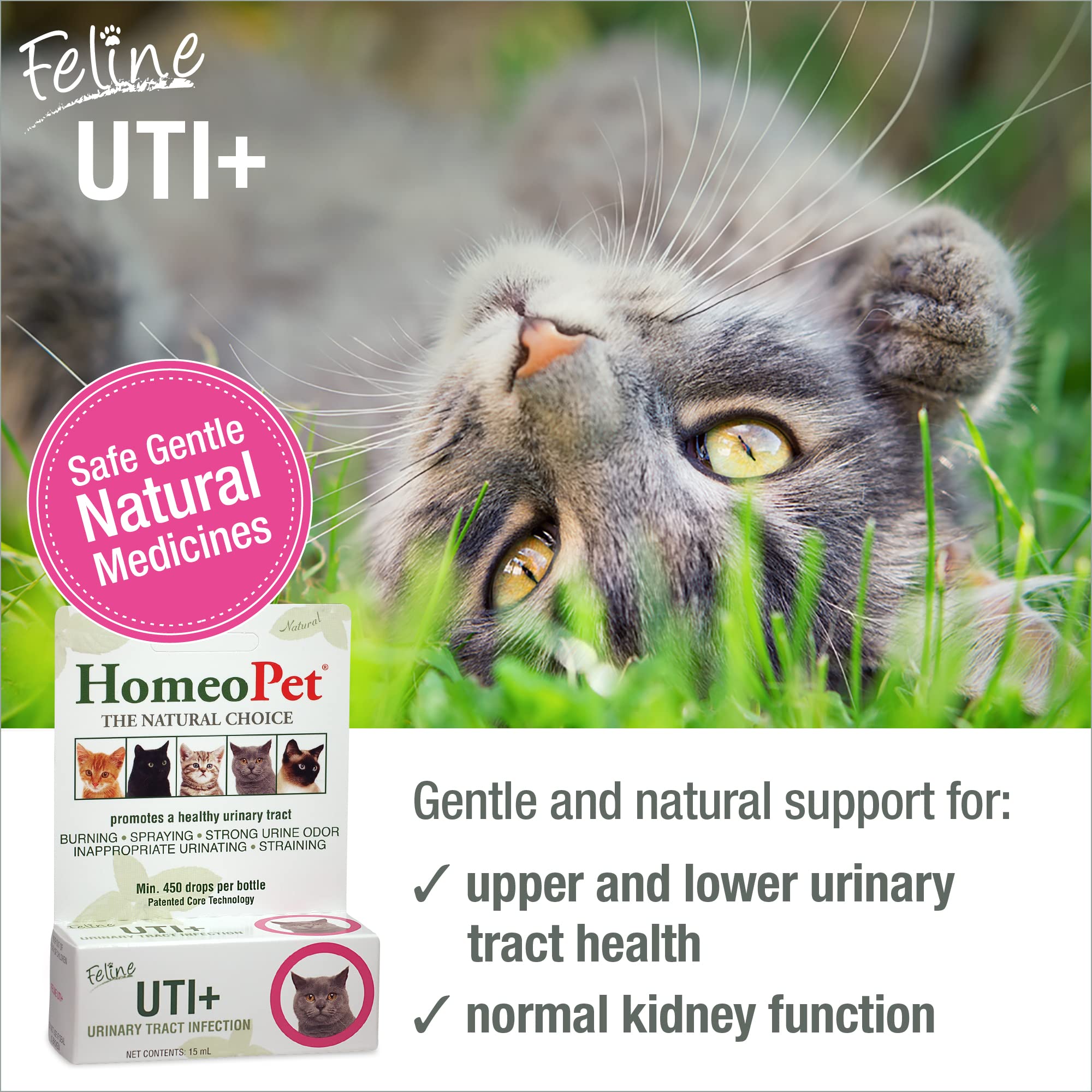 HomeoPet Feline UTI Plus bottle closeup—gentle, safe urinary health aid.