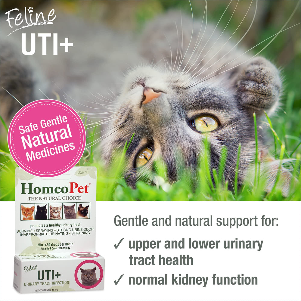 HomeoPet Feline UTI Plus bottle closeup—gentle, safe urinary health aid.
