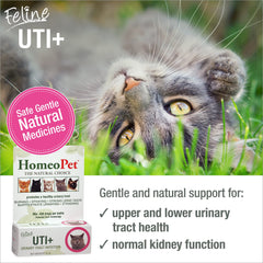 HomeoPet Feline UTI Plus bottle closeup—gentle, safe urinary health aid.
