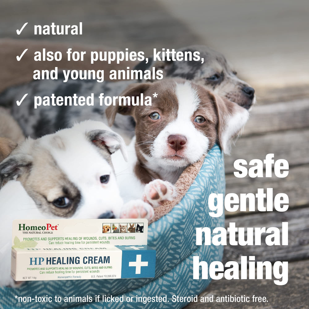 Clear ointment texture of HomeoPet HP Healing Cream on skin.