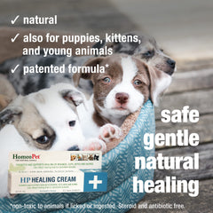 Clear ointment texture of HomeoPet HP Healing Cream on skin.