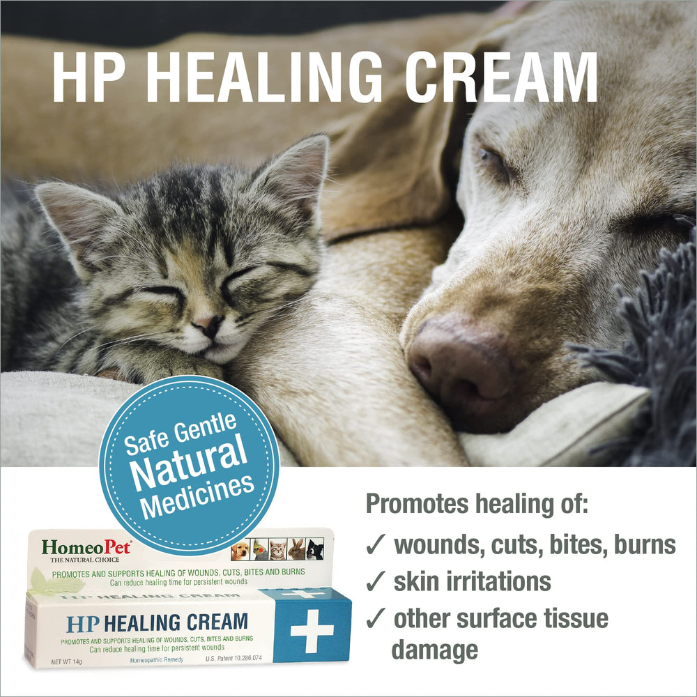 Dog paw wound with HomeoPet HP Healing Cream showing application.