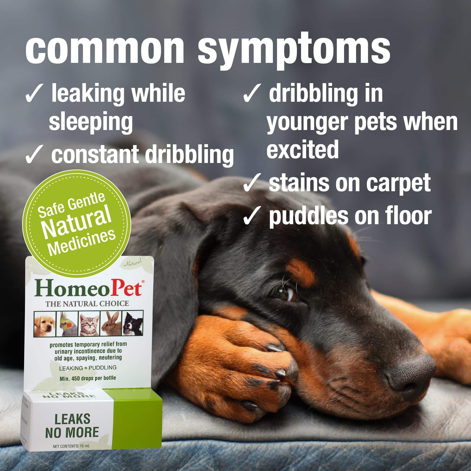 HomeoPet Leaks No More cat-dog-use suitable for all ages and small pets.