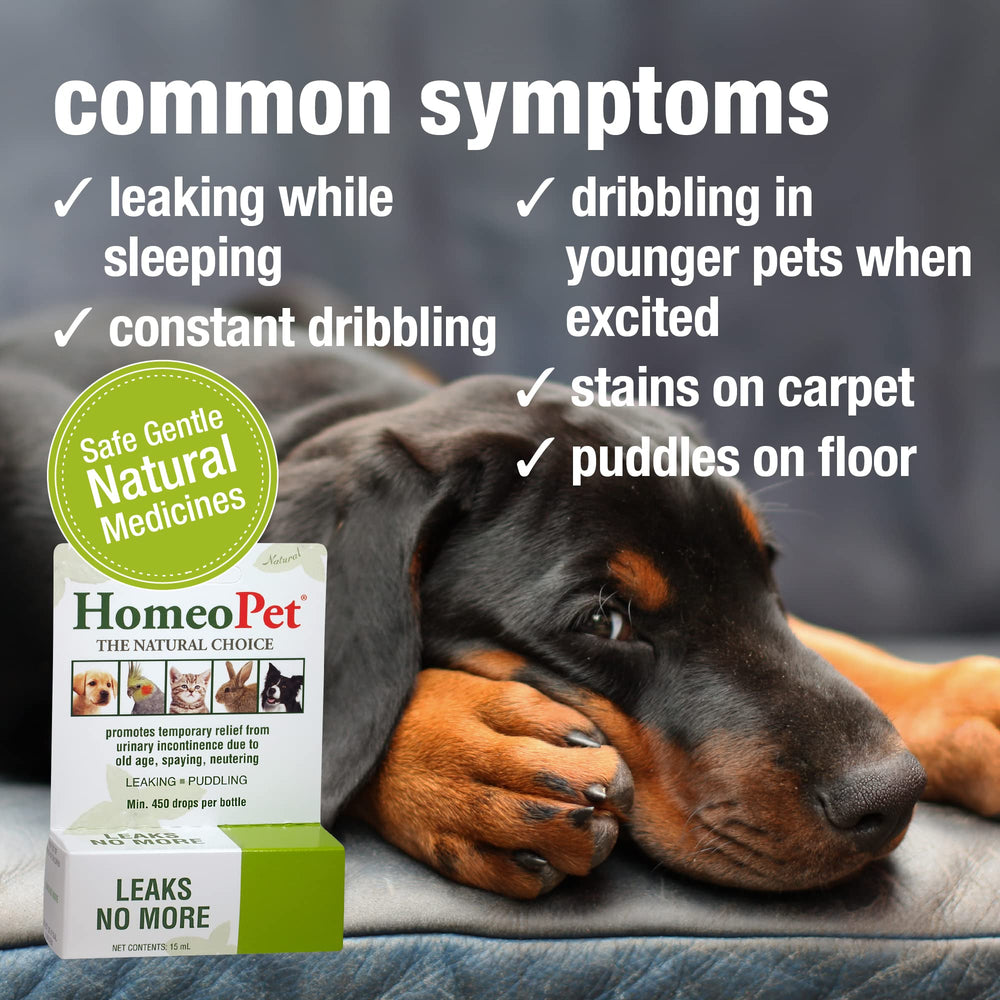 HomeoPet Leaks No More cat-dog-use suitable for all ages and small pets.