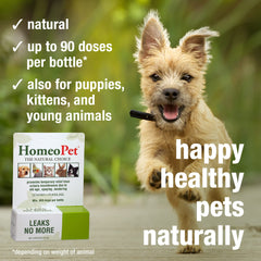 HomeoPet Leaks No More safe-ingredients highlights natural, gentle bladder support.