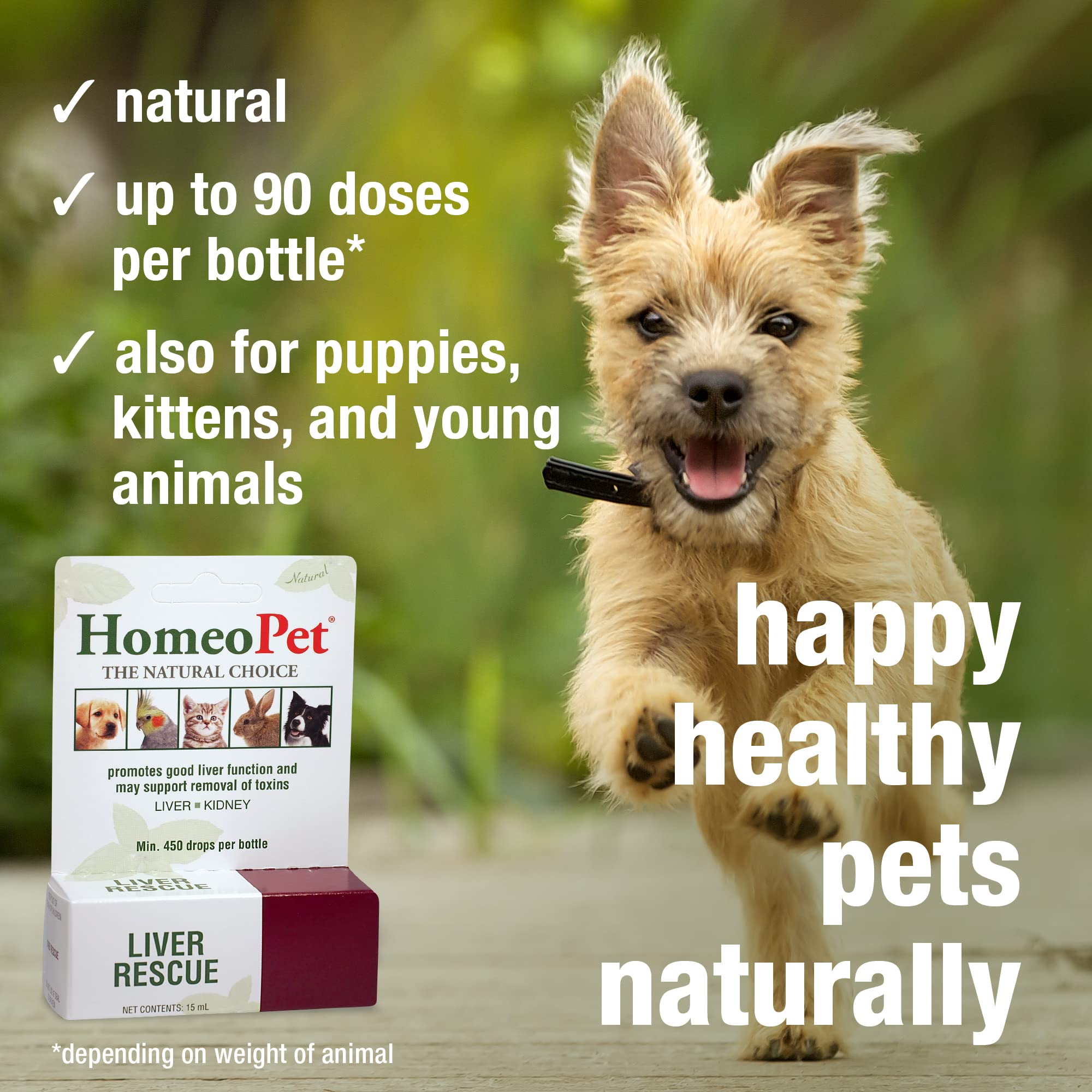 HomeoPet Liver Rescue mixed with meal for convenient use.