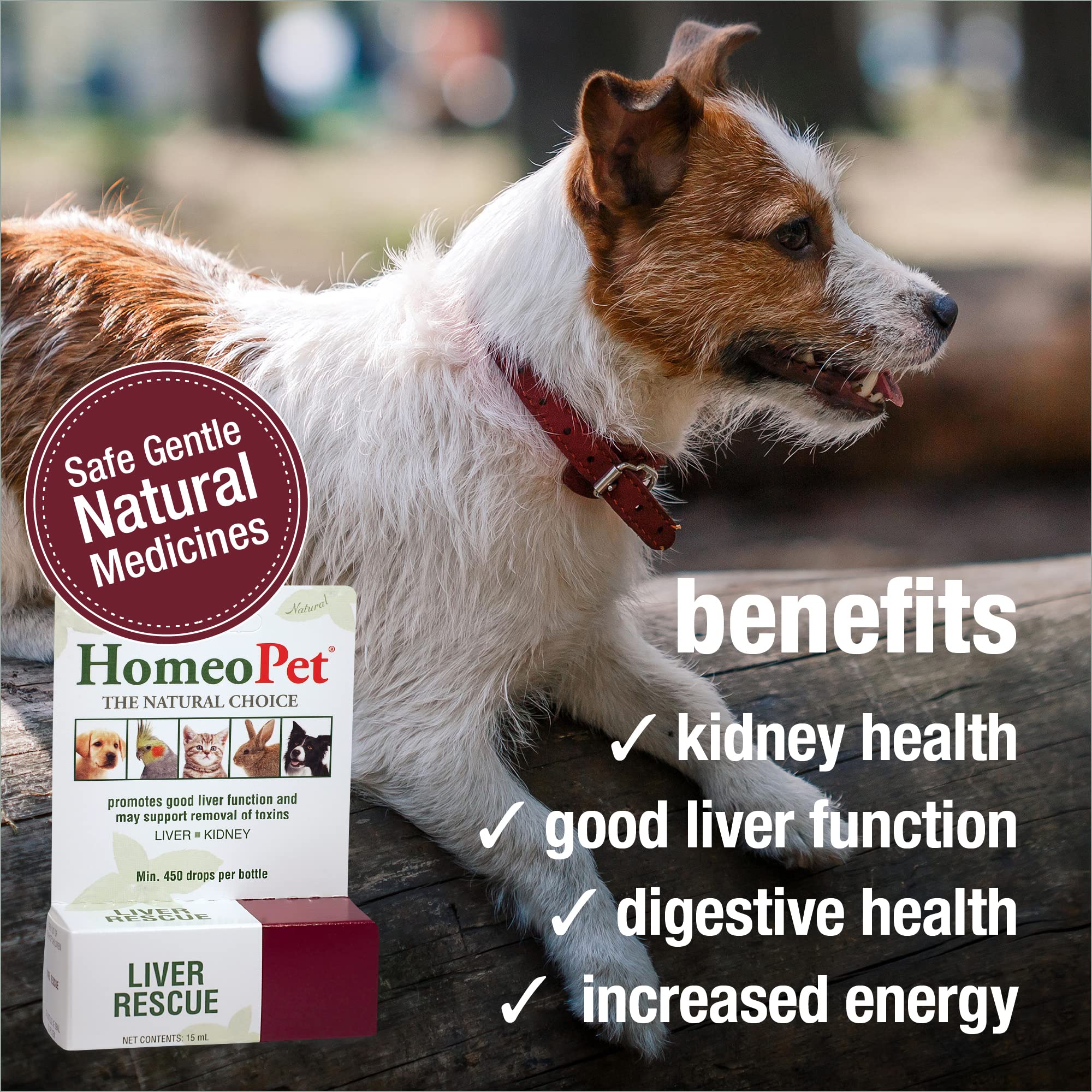 HomeoPet Liver Rescue being added to water for easy dosing.