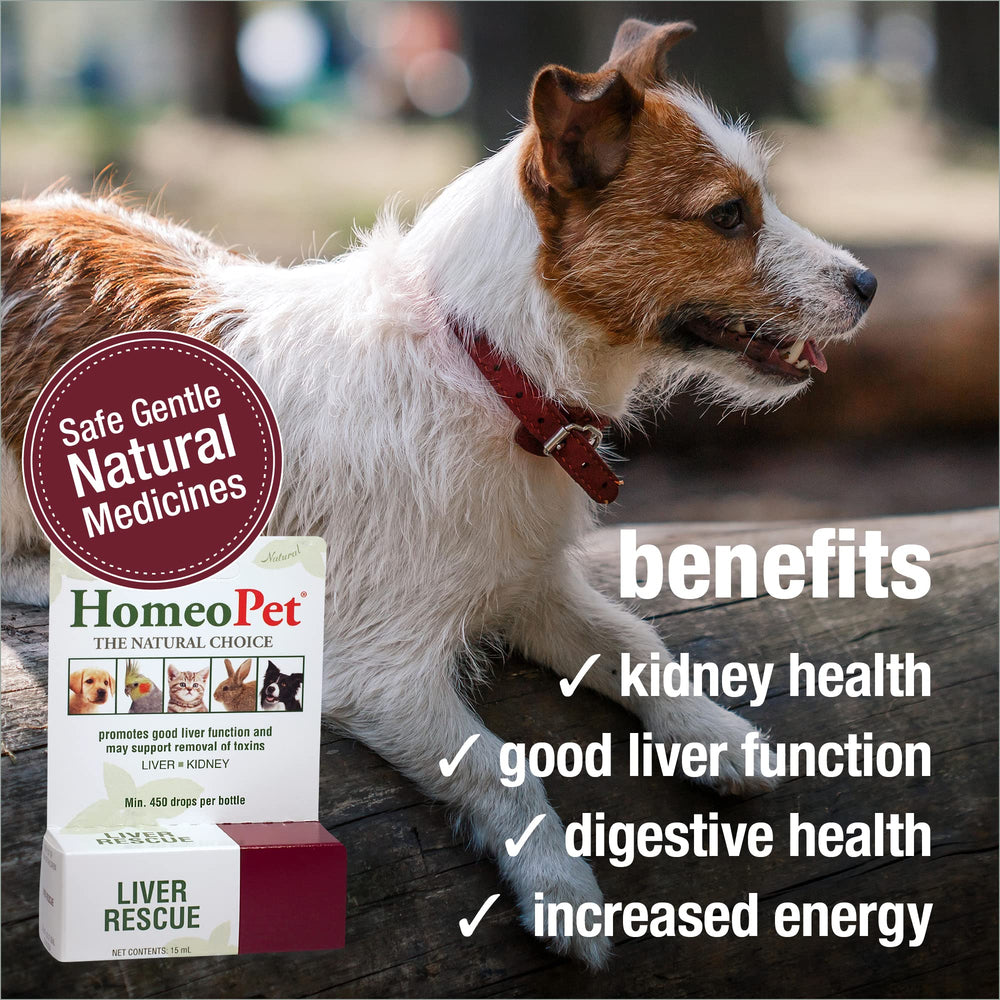 HomeoPet Liver Rescue being added to water for easy dosing.