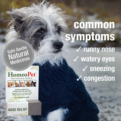 HomeoPet Nose Relief being administered to a pet highlights user-friendly application