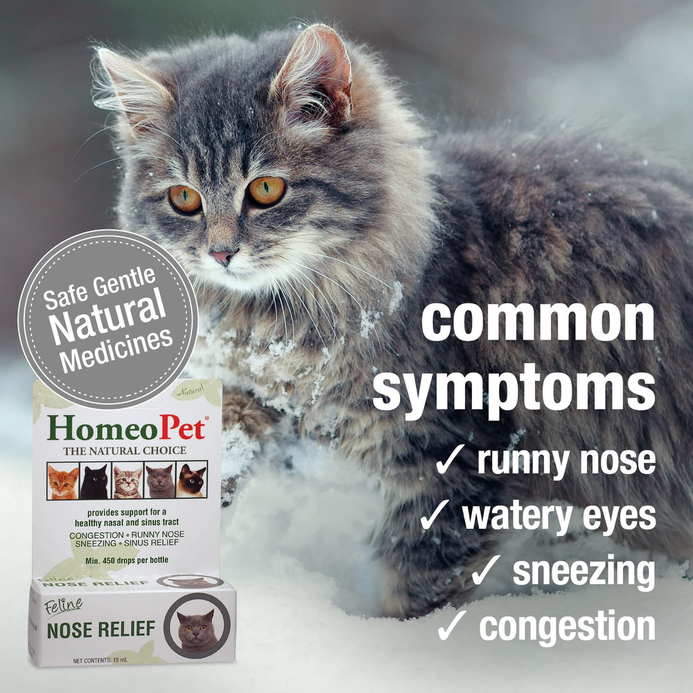 HomeoPet Nose Relief cat sniffing after application, indicating respiratory support