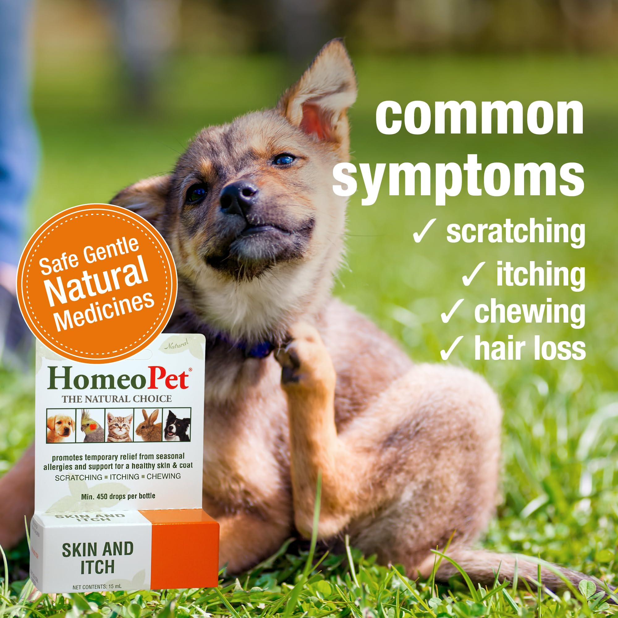 HomeoPet Skin and Itch dropper in use for quick relief