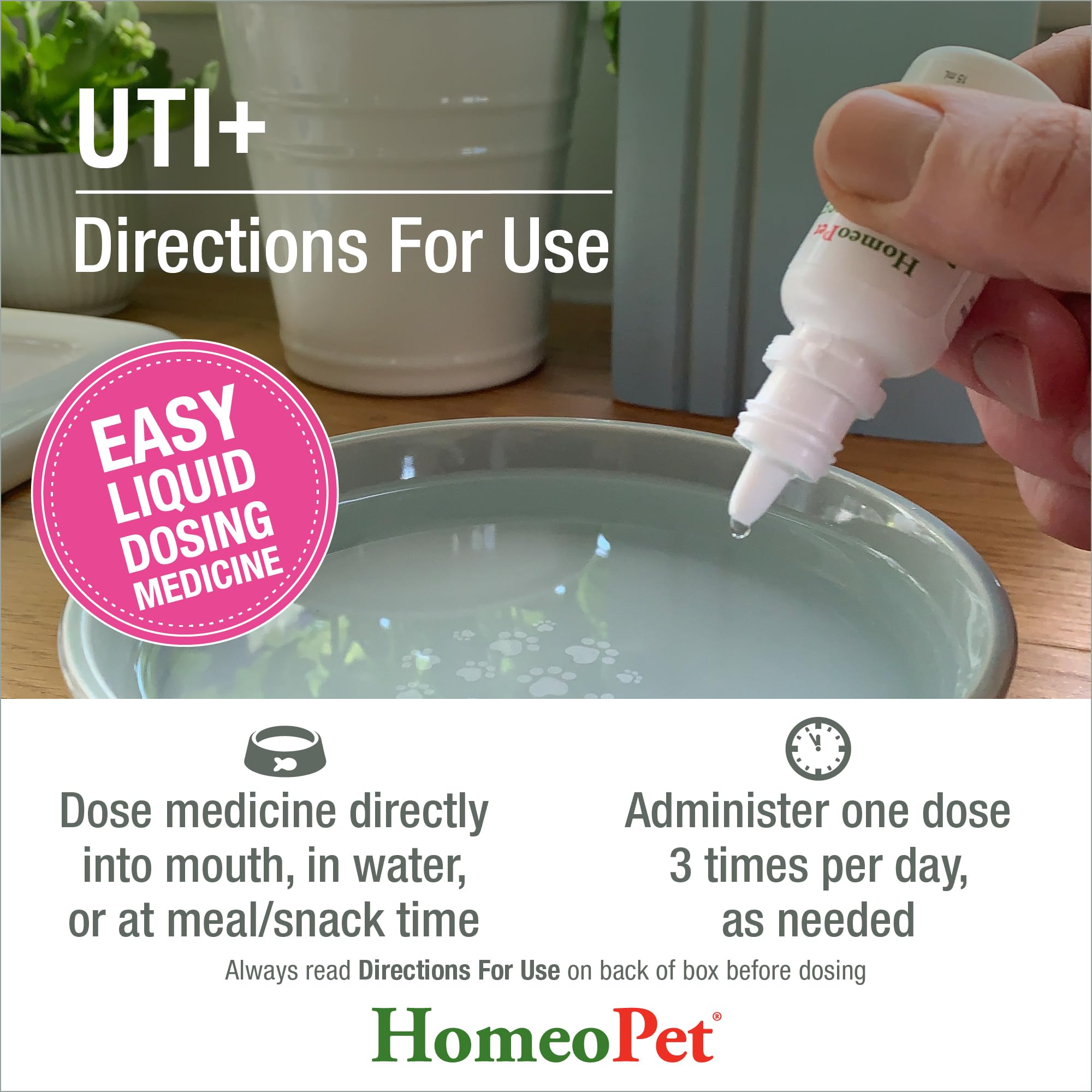 HomeoPet UTI+ ideal para perros y gatos pequeños.