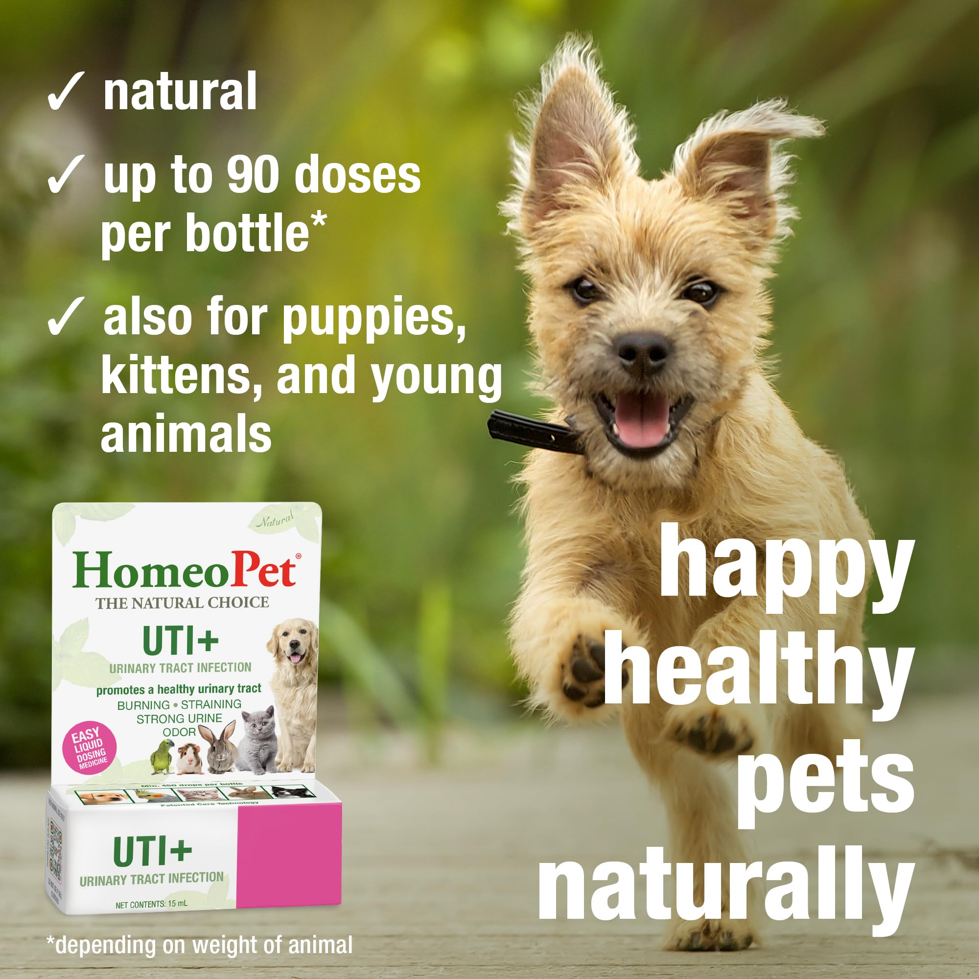 HomeoPet UTI+ uso en mascotas de todas las edades.