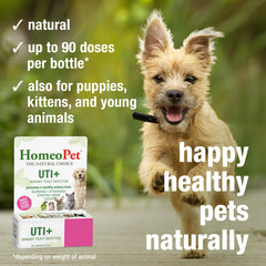 HomeoPet UTI+ uso en mascotas de todas las edades.