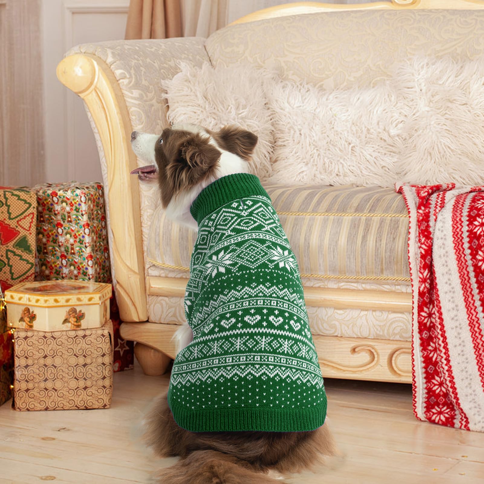 Homimp dog-clothes easy-wear design enables quick dressing and playtime.
