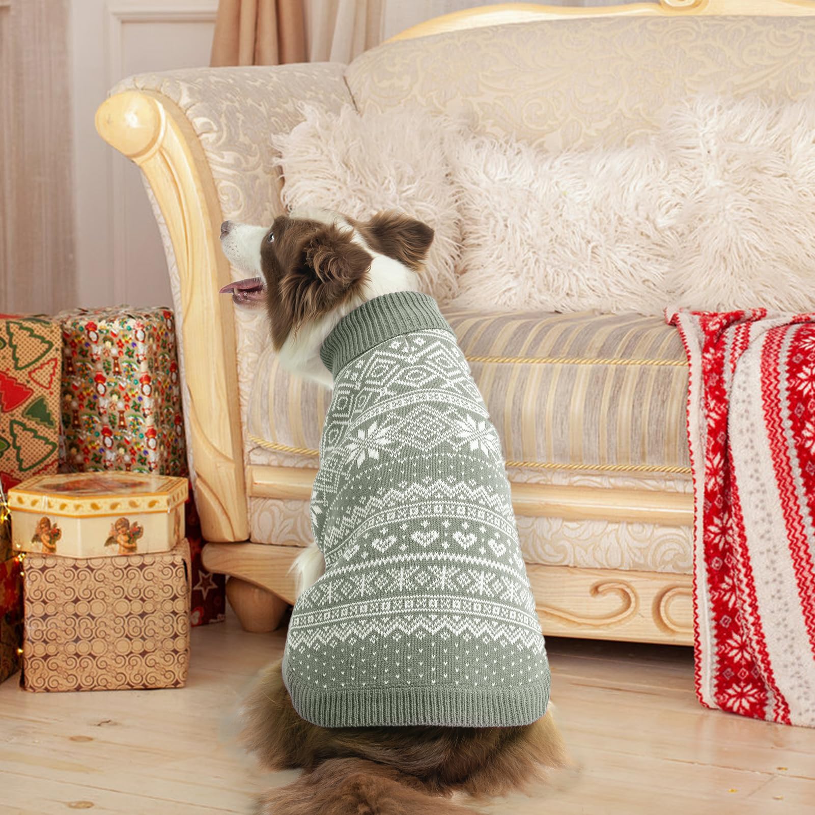 Homimp Argyle dog sweater green color variation shows lively style