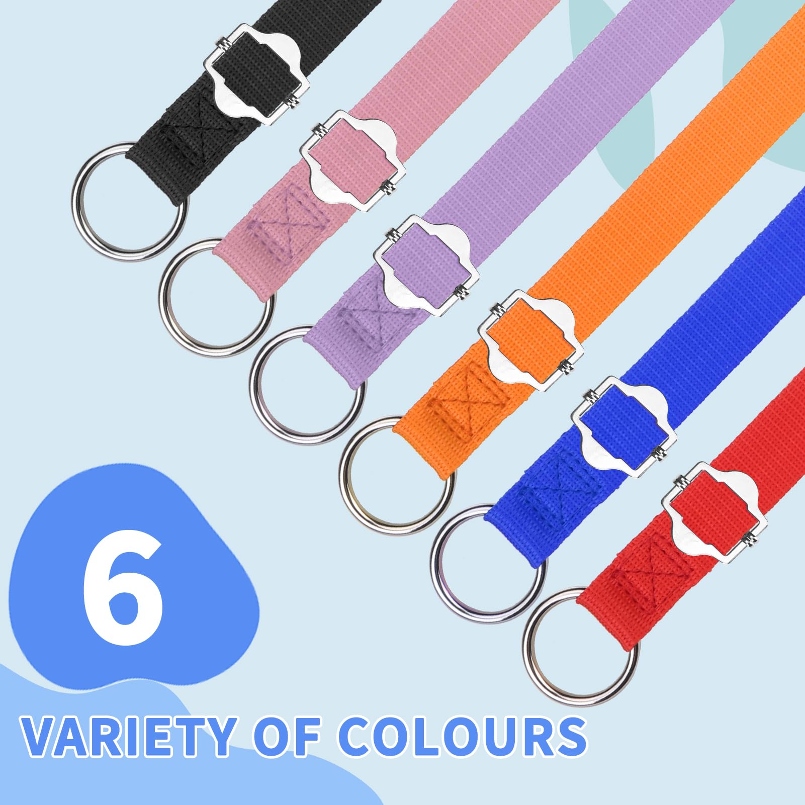 Homimp slip lead 6-color set highlights versatility for shelters, grooming, and daily handling.