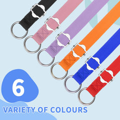 Homimp slip lead 6-color set highlights versatility for shelters, grooming, and daily handling.