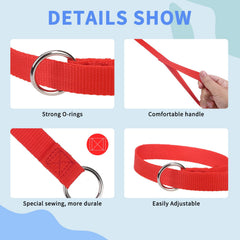 Homimp slip lead used as emergency tool for quick harness or collar conversion