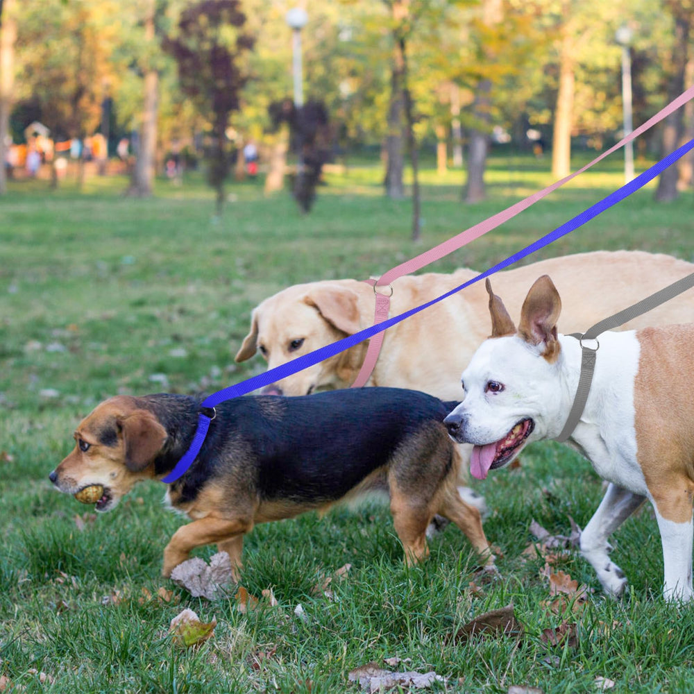 Homimp slip lead emergency-use in vehicle enables fast conversion to harness or collar.