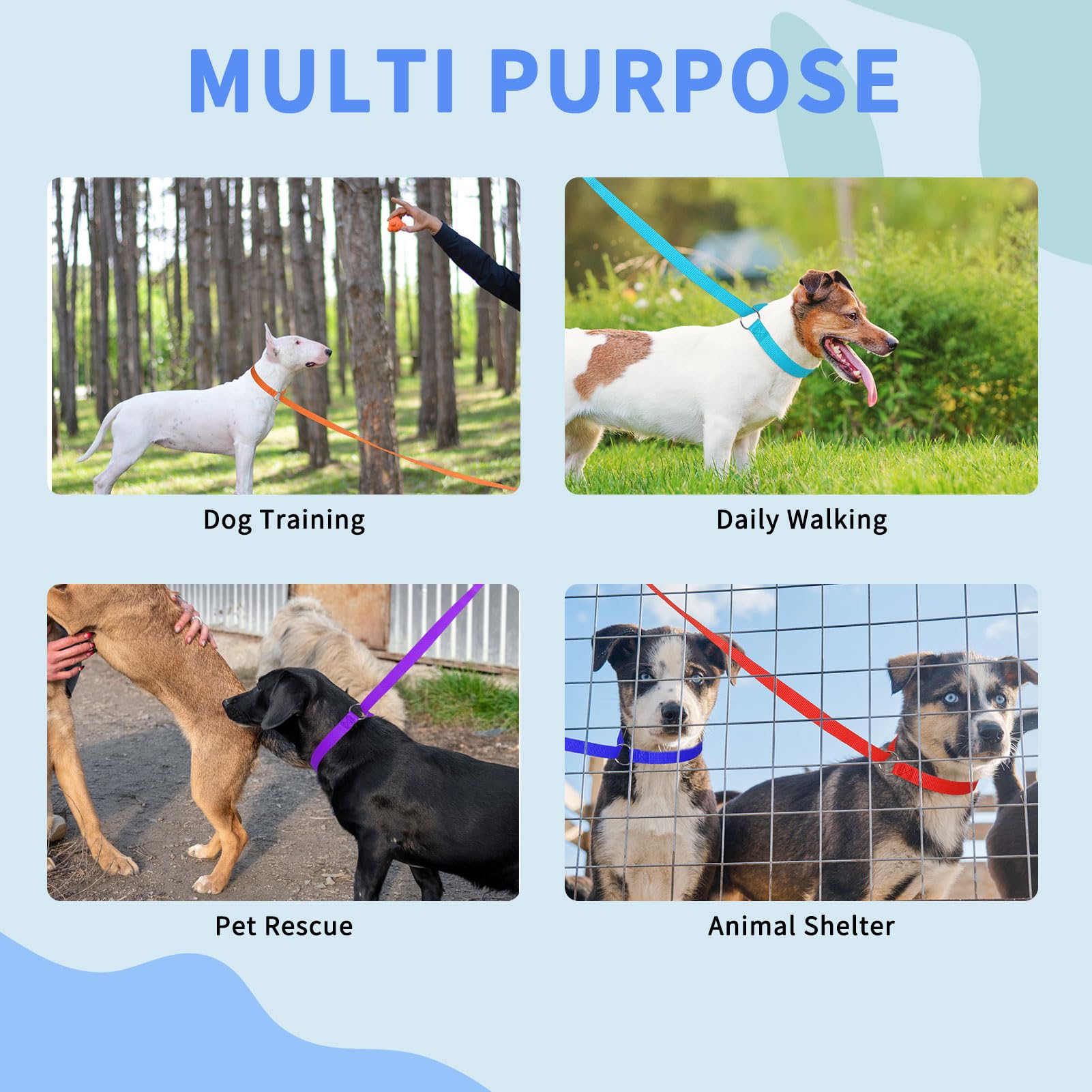 Homimp slip lead in kennel and grooming environments