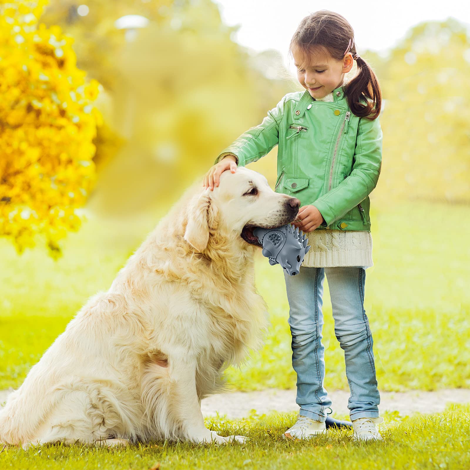 Homipooty large dog use suitable for medium to large breeds