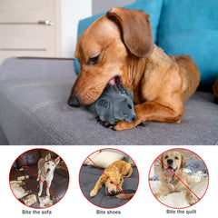 Homipooty raised textures help clean teeth while chewing
