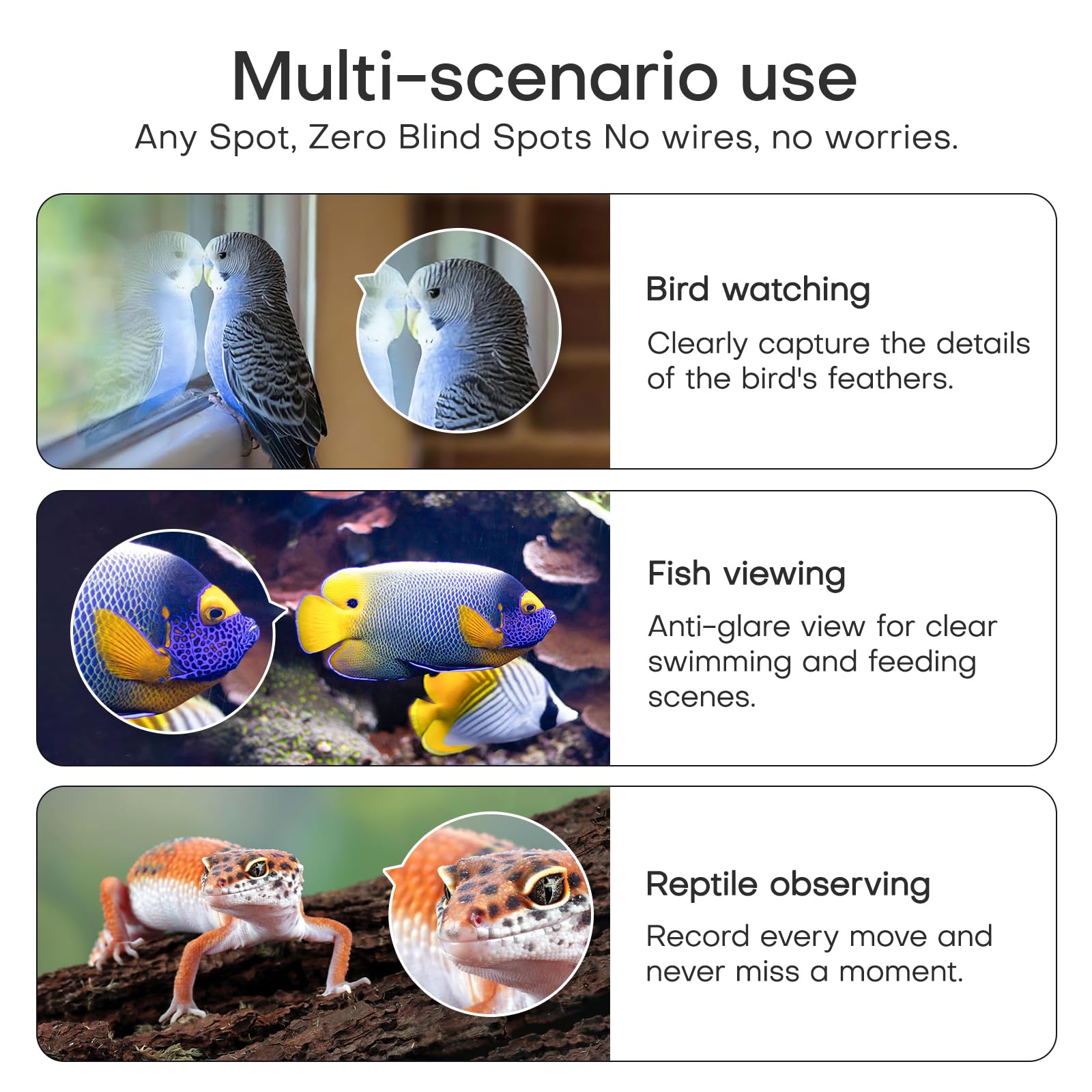 HomiQ reptile camera two-way audio lets you talk to your pets.