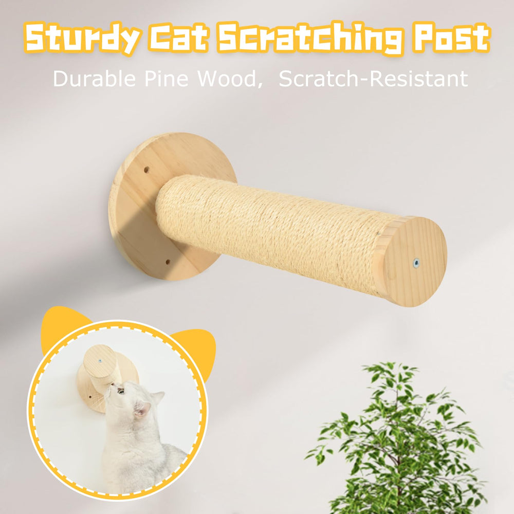 Homman cat wall shelves climbing ladders safe vertical exploration