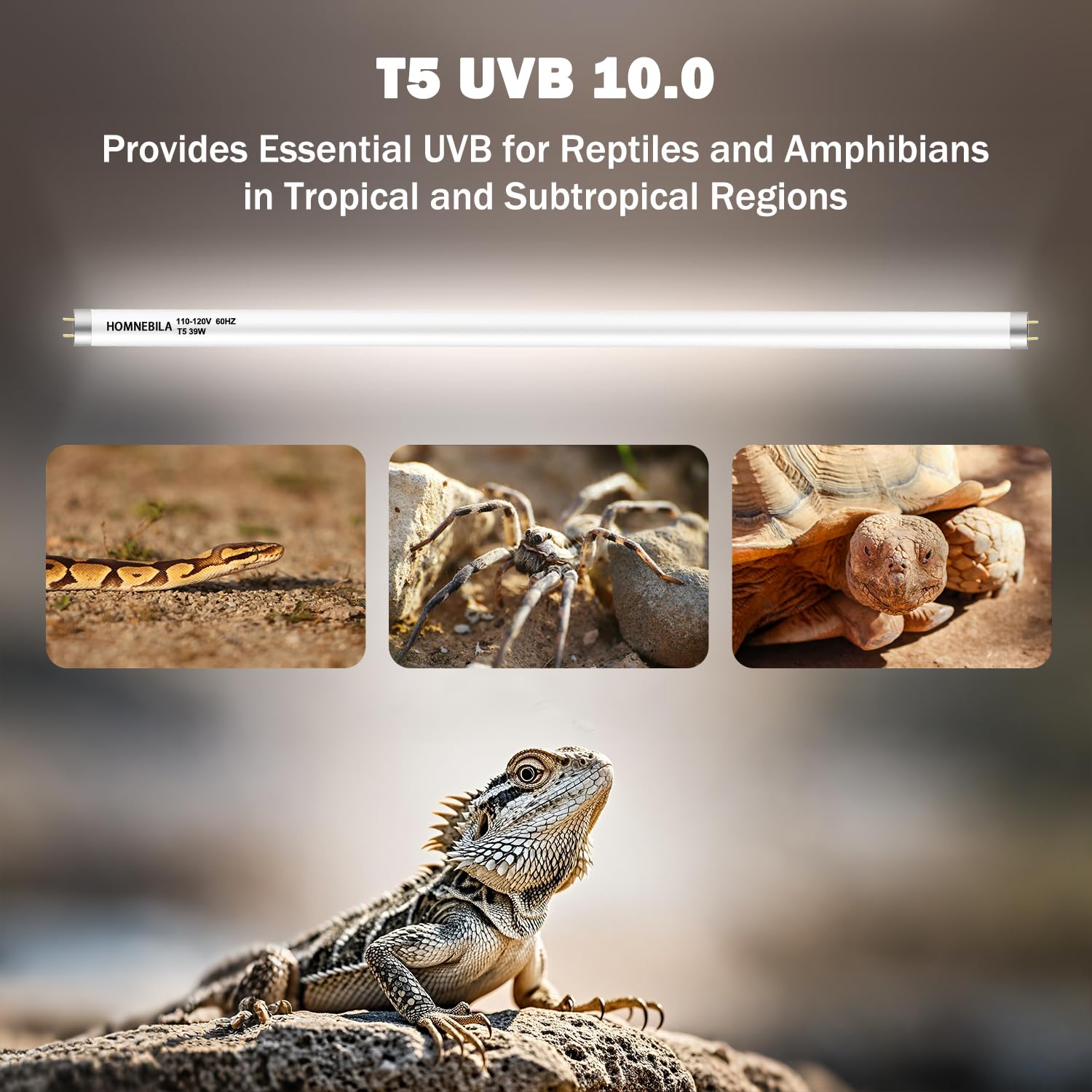Homnebila T5 UVB 10.0 output supports vitamin D3 utilization