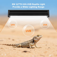 Homnebila UVB lamp features up to 10,000 hours of long-lasting illumination.