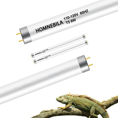 Homnebila T5 UVB light bulb 8W in bearded dragon habitat supports daytime activity.
