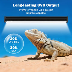 Homnebila T5 UVB lamp lights lizards basking in terrarium