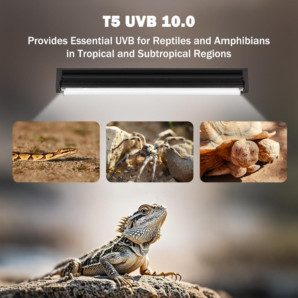 Homnebila T5 UVB installation bracket for versatile mounting