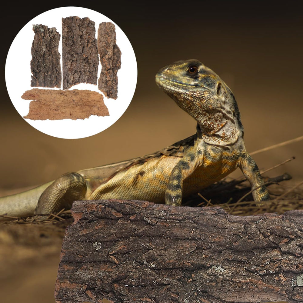 Homoyoyo reptile bark decor safe natural material maintains color and integrity